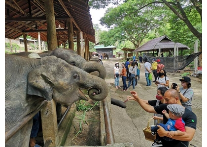 2020–09-28 全国大象营将升级杜绝虐待奴役